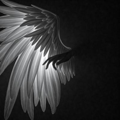 The primary subject of the image is a large, white bird with a long wing span. The bird is flying in the dark, with its wings spread wide. The setting is a black background, which contrasts with the bird's white feathers, creating a dramatic and striking visual effect. The visual style of the image is a combination of photo and digital art, as it captures the bird's movement and the contrasting colors in a realistic manner. The overall atmosphere of the image is mysterious and captivating, as